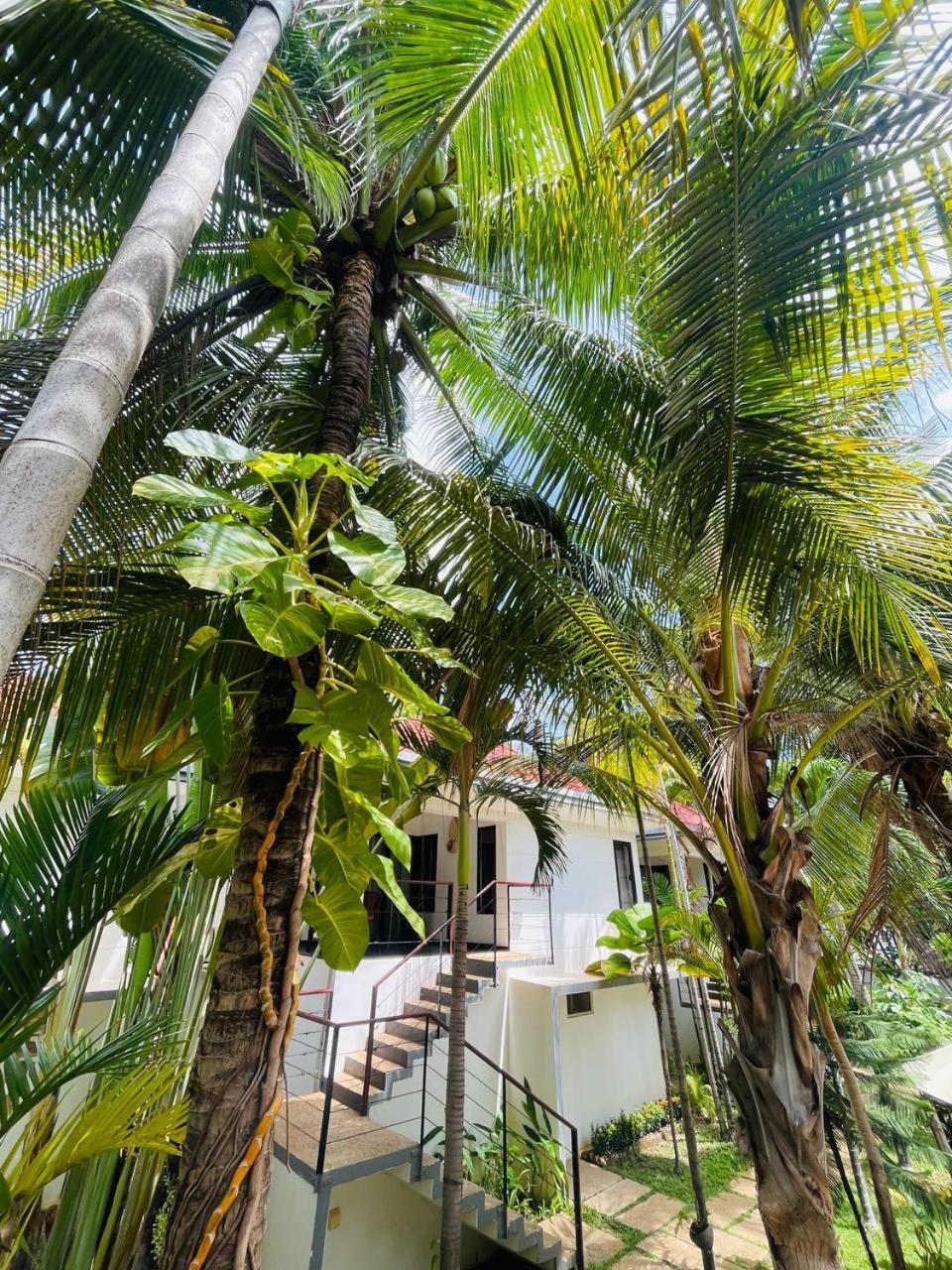 Apsara Greenland Boutique Villa & Resort Ciudad de Siem Riep Exterior foto